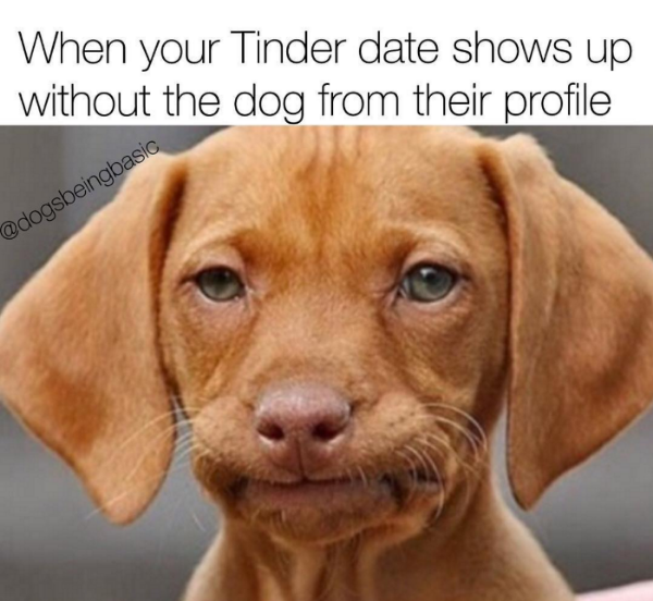 Tinder bullet point meme